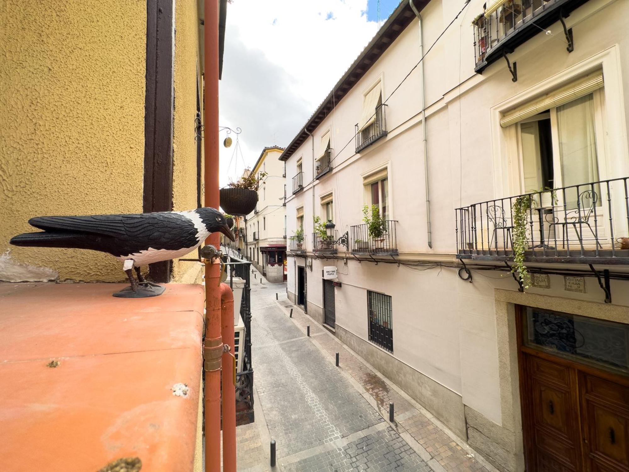 Disfruta Del Barrio De Las Letras 马德里 外观 照片